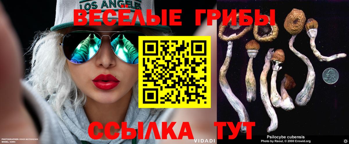 Псилоцибиновые грибы мухоморы  Вход с VPN  Кулебаки  Псилоцибиновые грибы Magic Shrooms 